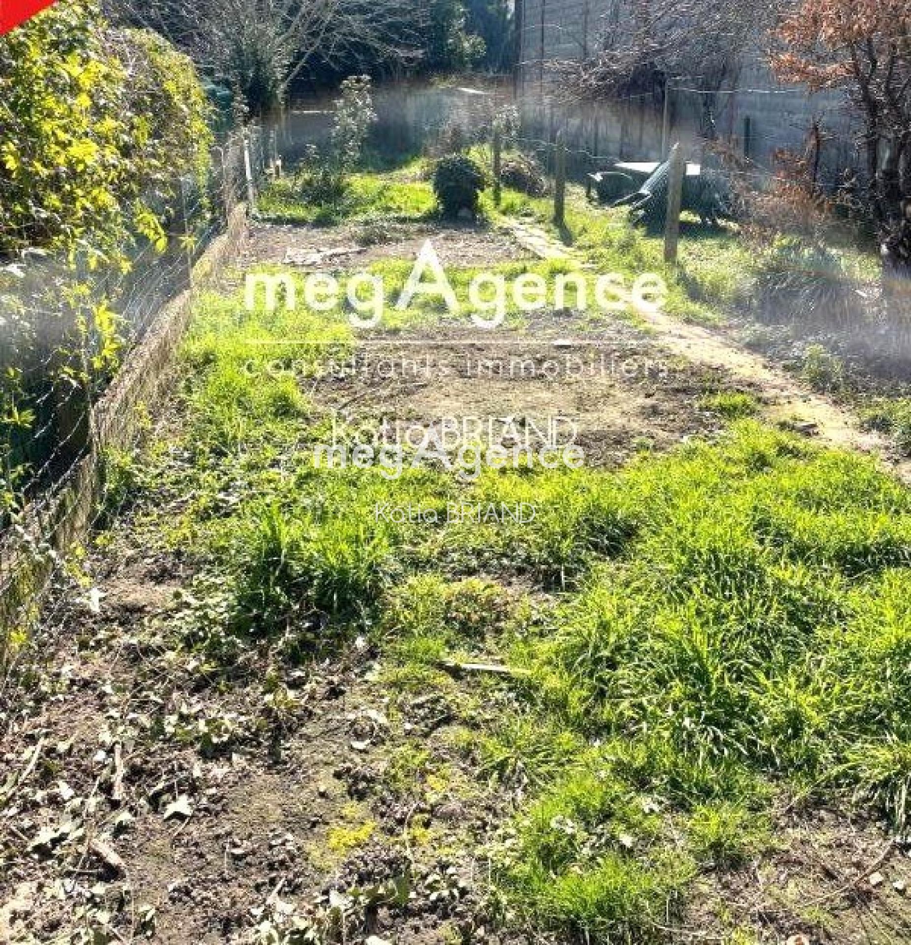 Miniature photo - 3 / 3