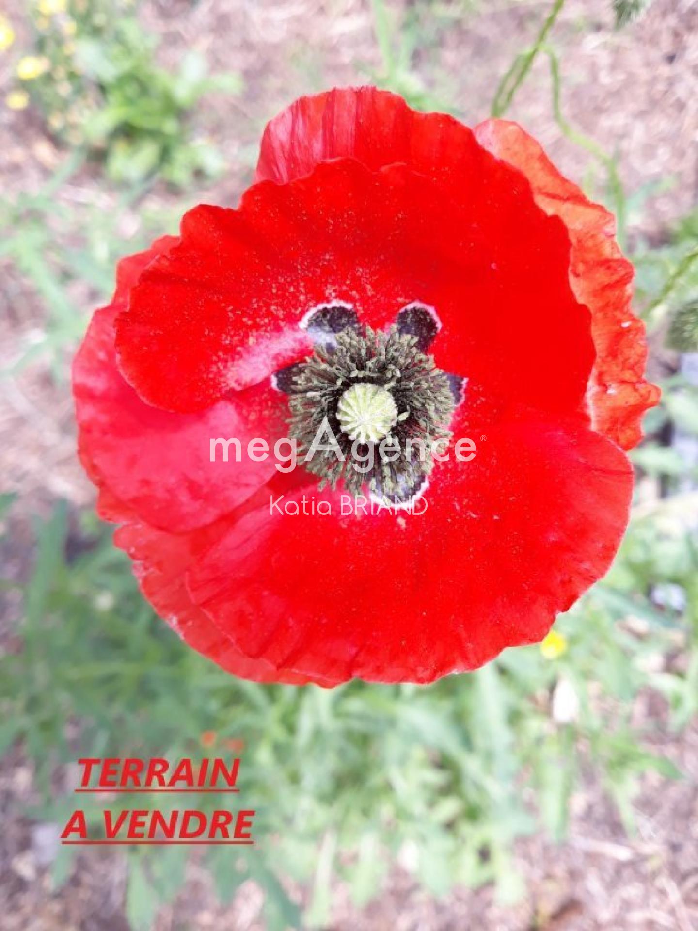 Photographie descriptive du bien