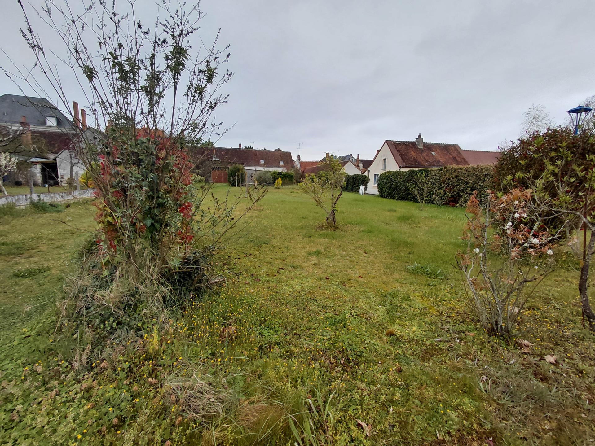 Miniature photo - 4 / 4