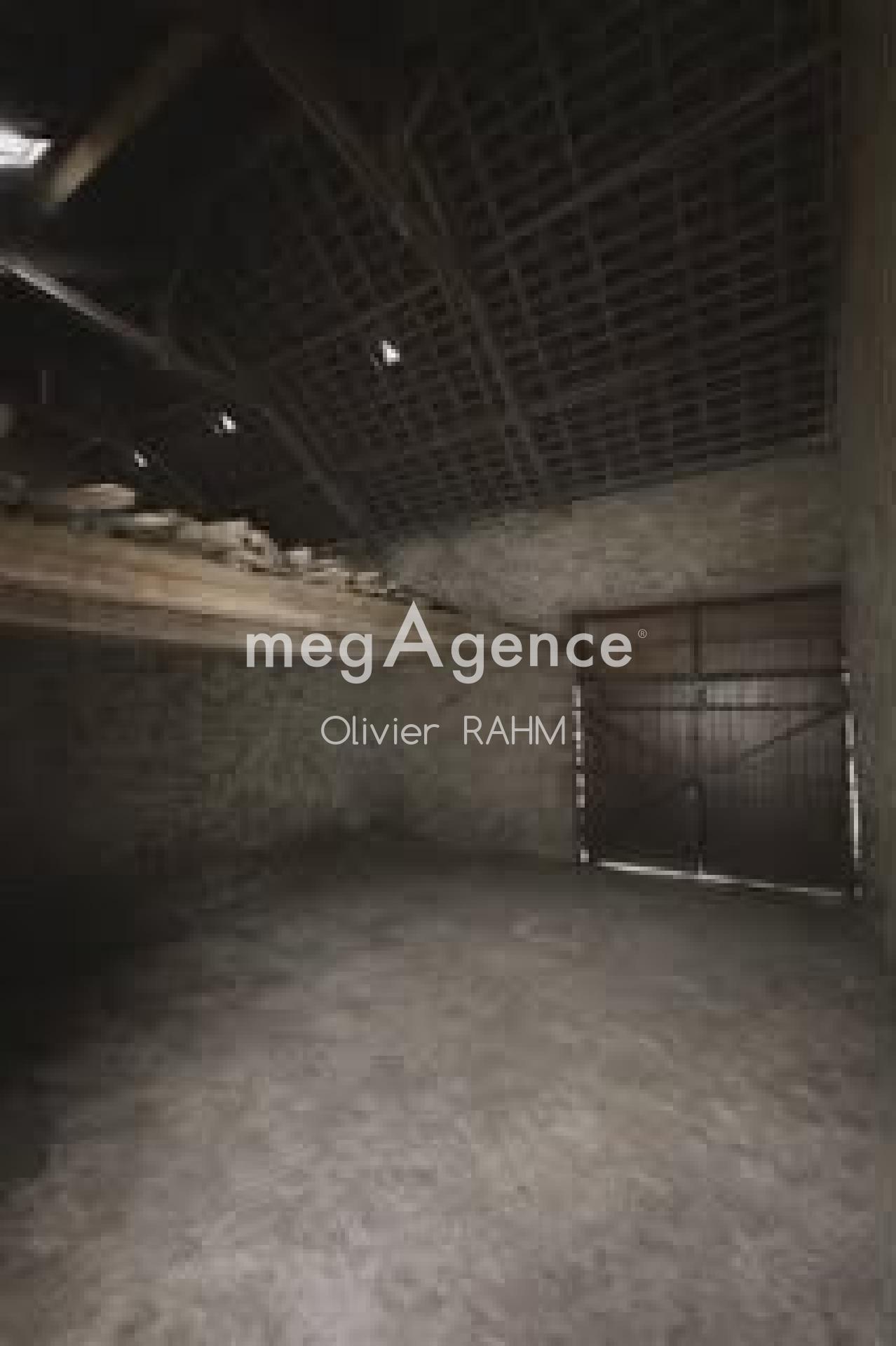 Miniature photo - 3 / 3