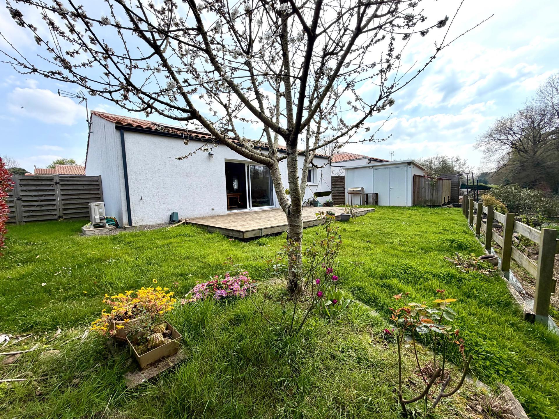 Miniature photo - 10 / 14