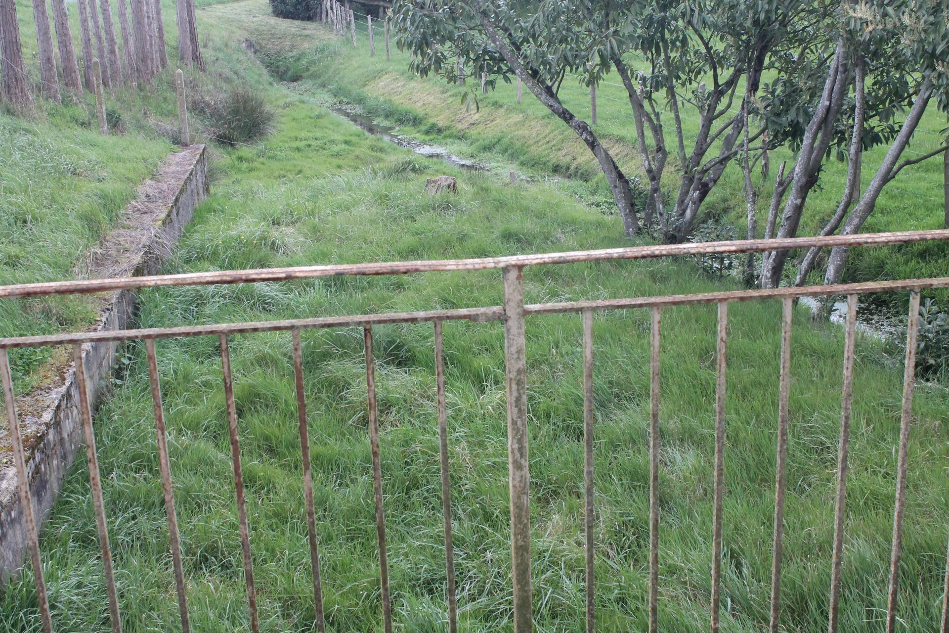 Miniature photo - 14 / 14