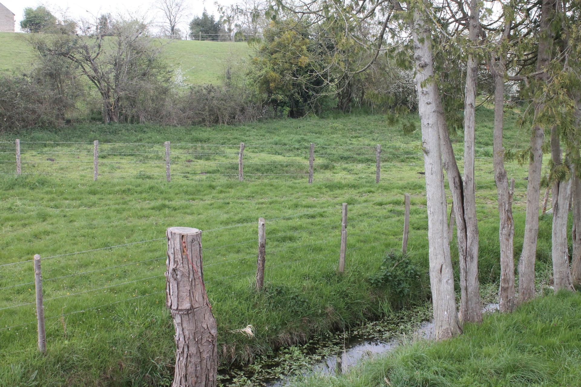 Miniature photo - 13 / 14