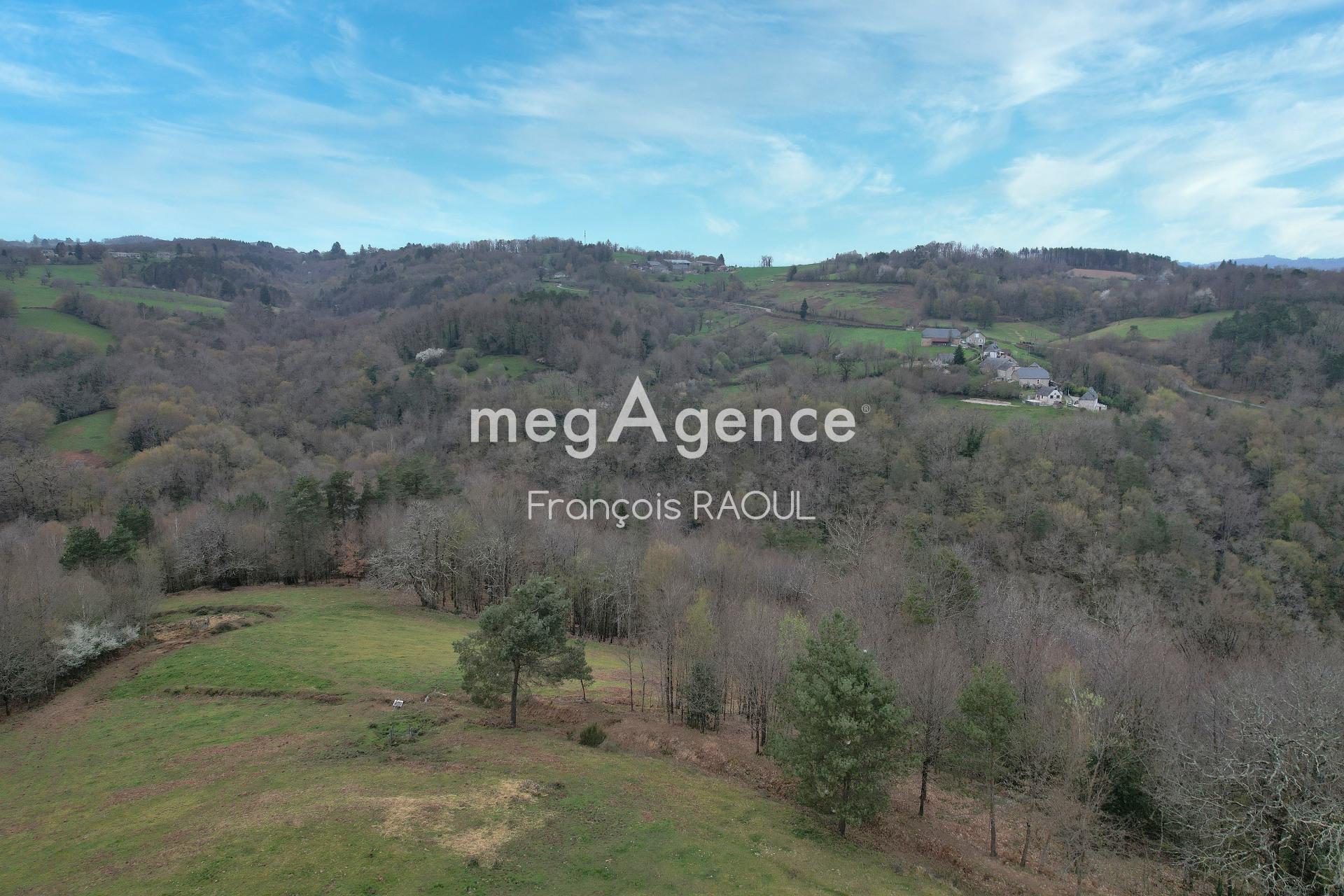 Miniature photo - 5 / 17