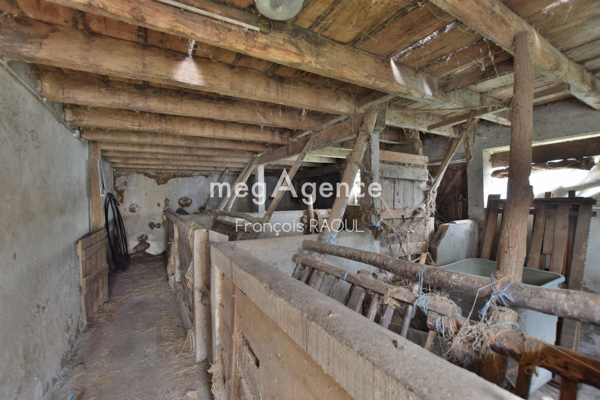 Miniature photo - 13 / 17