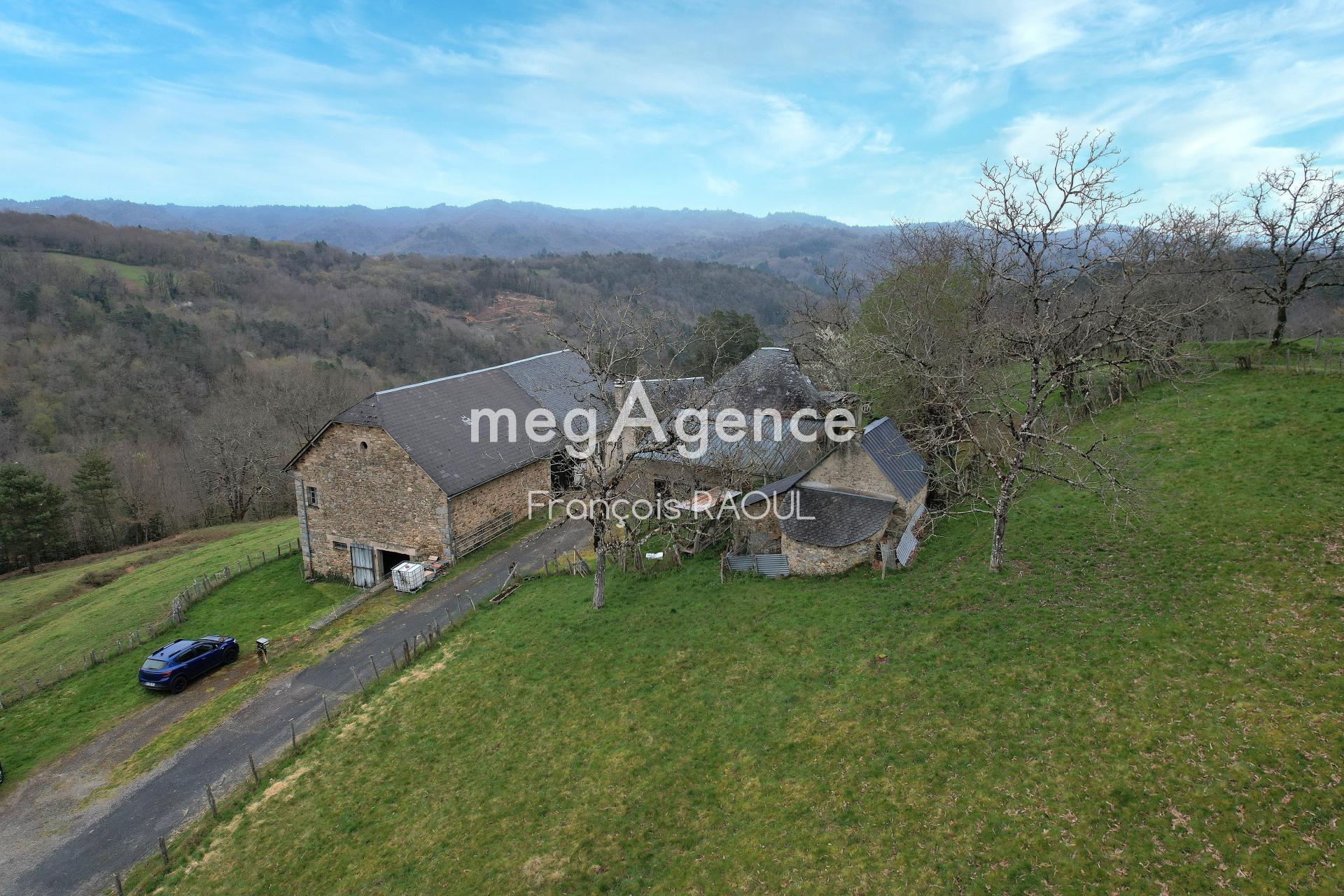 Miniature photo - 4 / 17