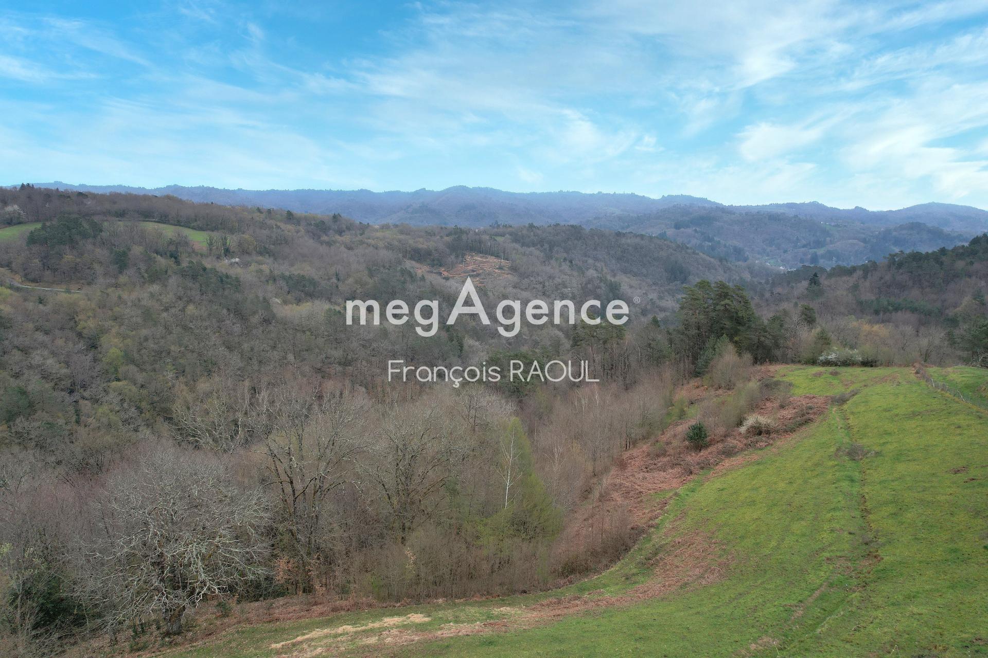 Miniature photo - 6 / 17