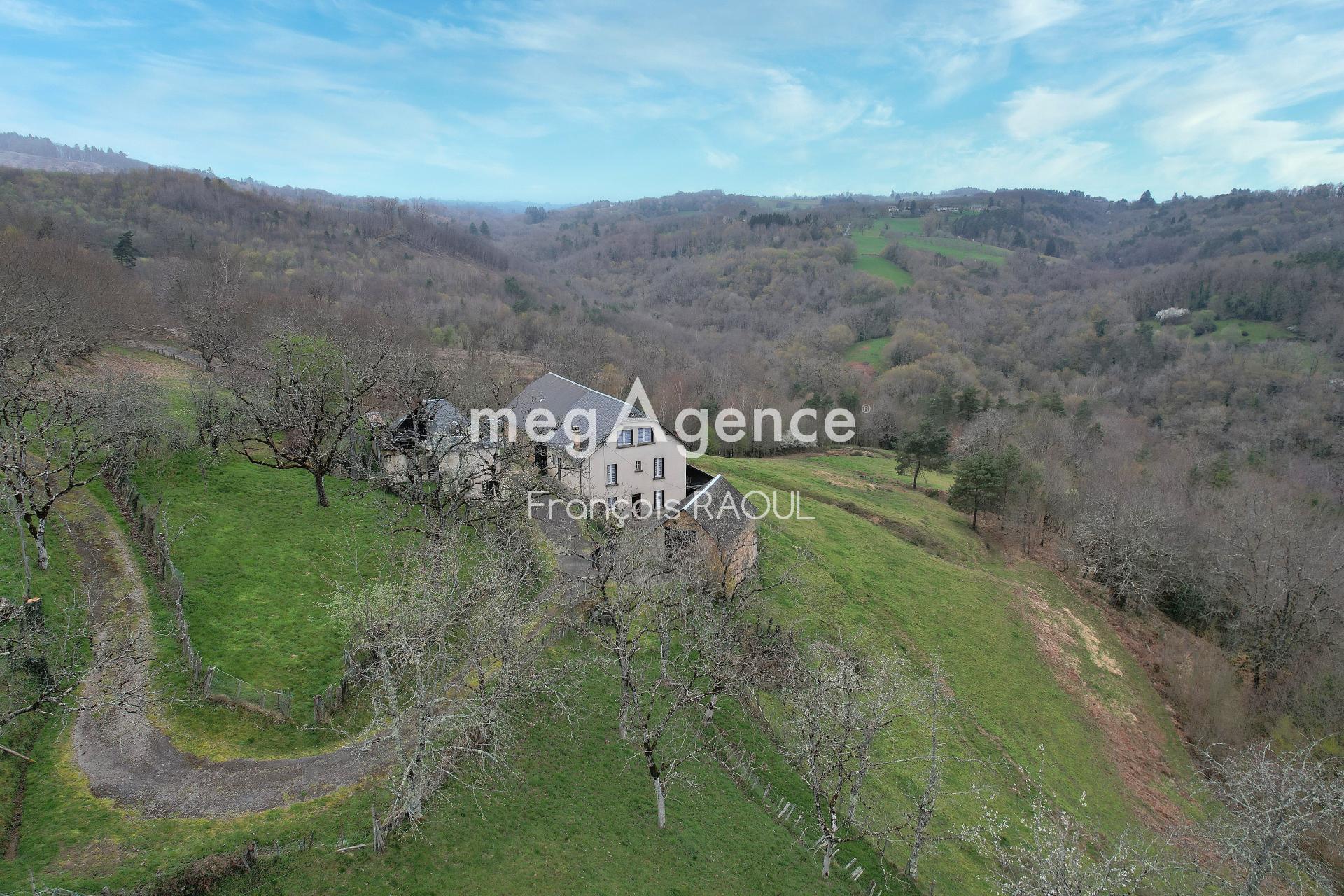 Miniature photo - 3 / 17