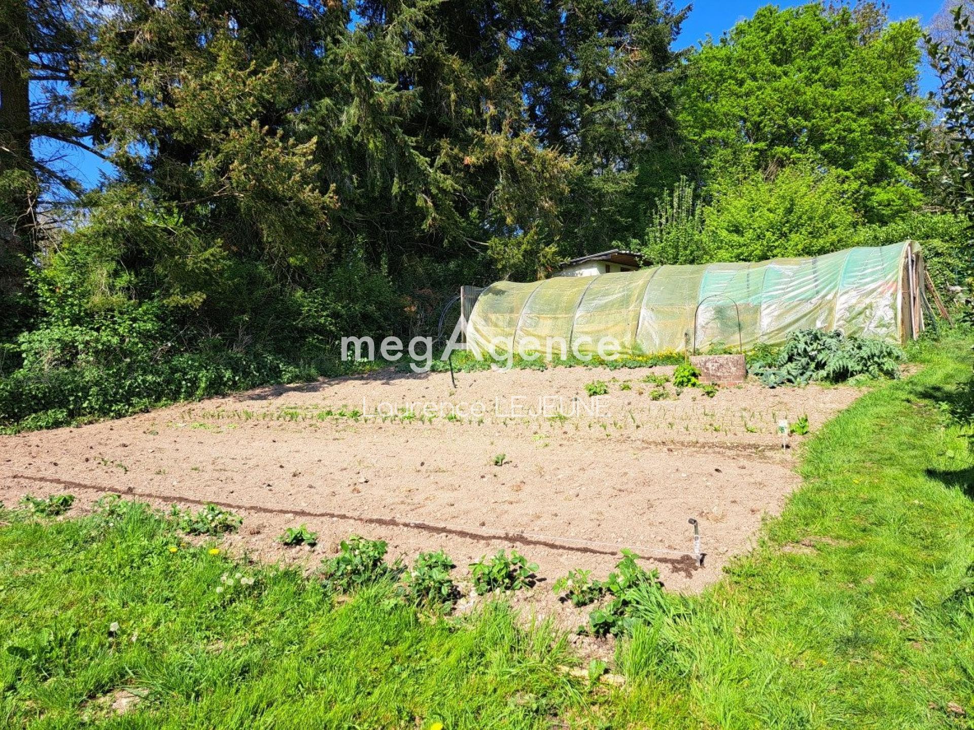 Miniature photo - 10 / 13