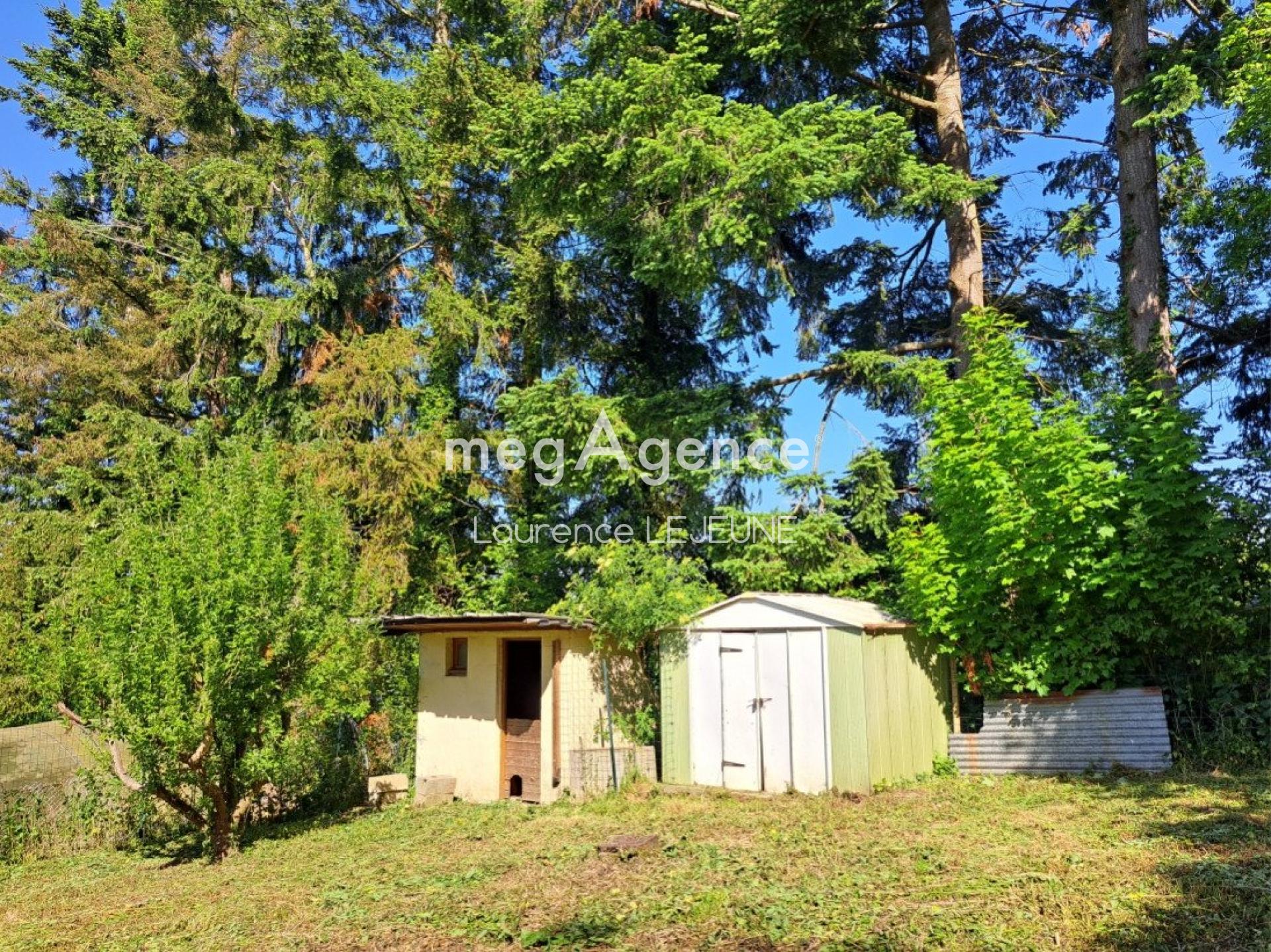 Miniature photo - 12 / 13