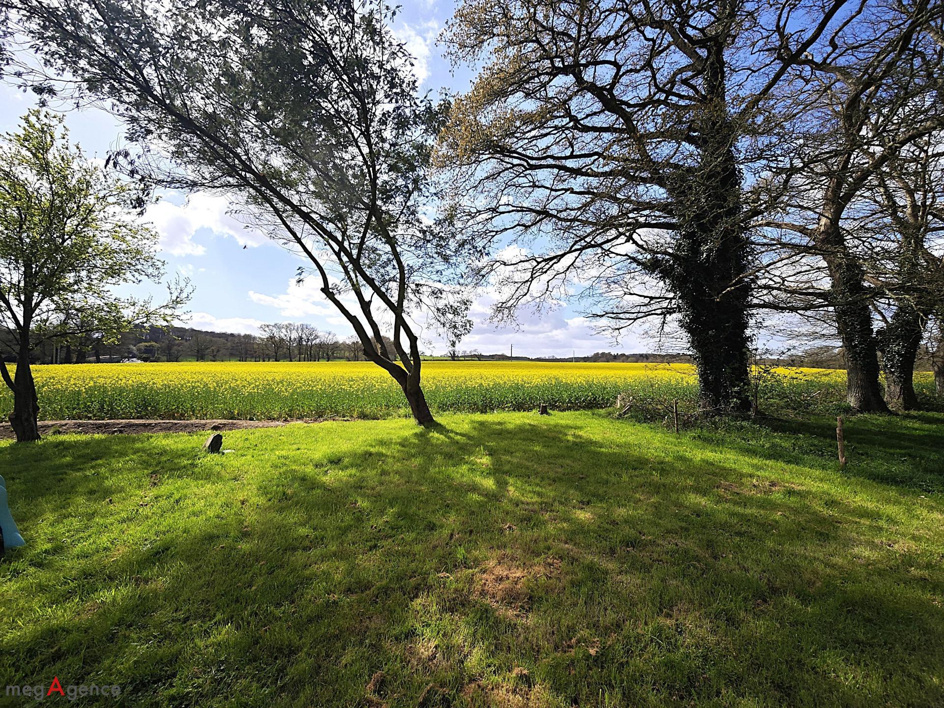 Miniature photo - 19 / 20