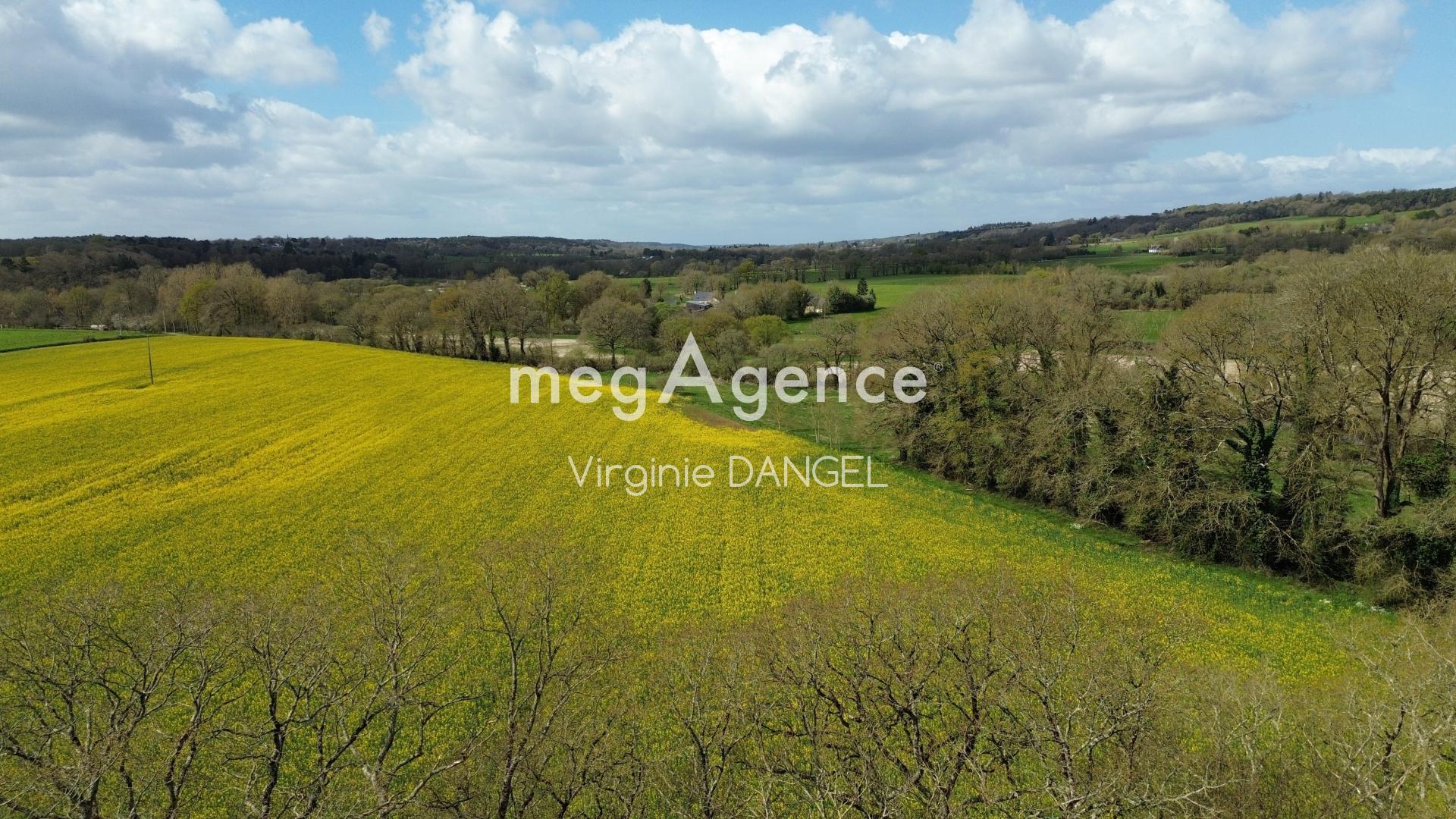 Miniature photo - 20 / 20