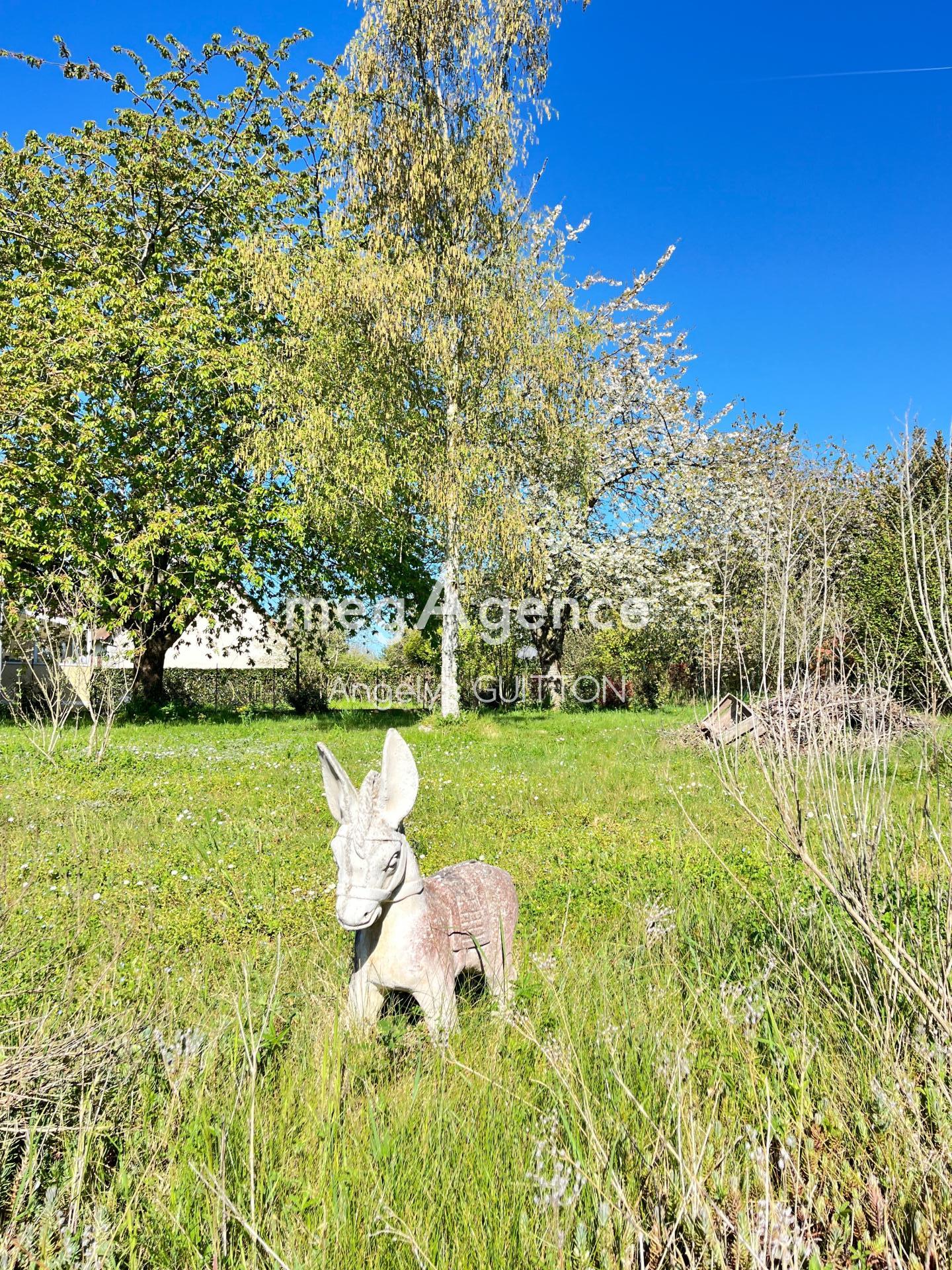 Miniature photo - 14 / 14