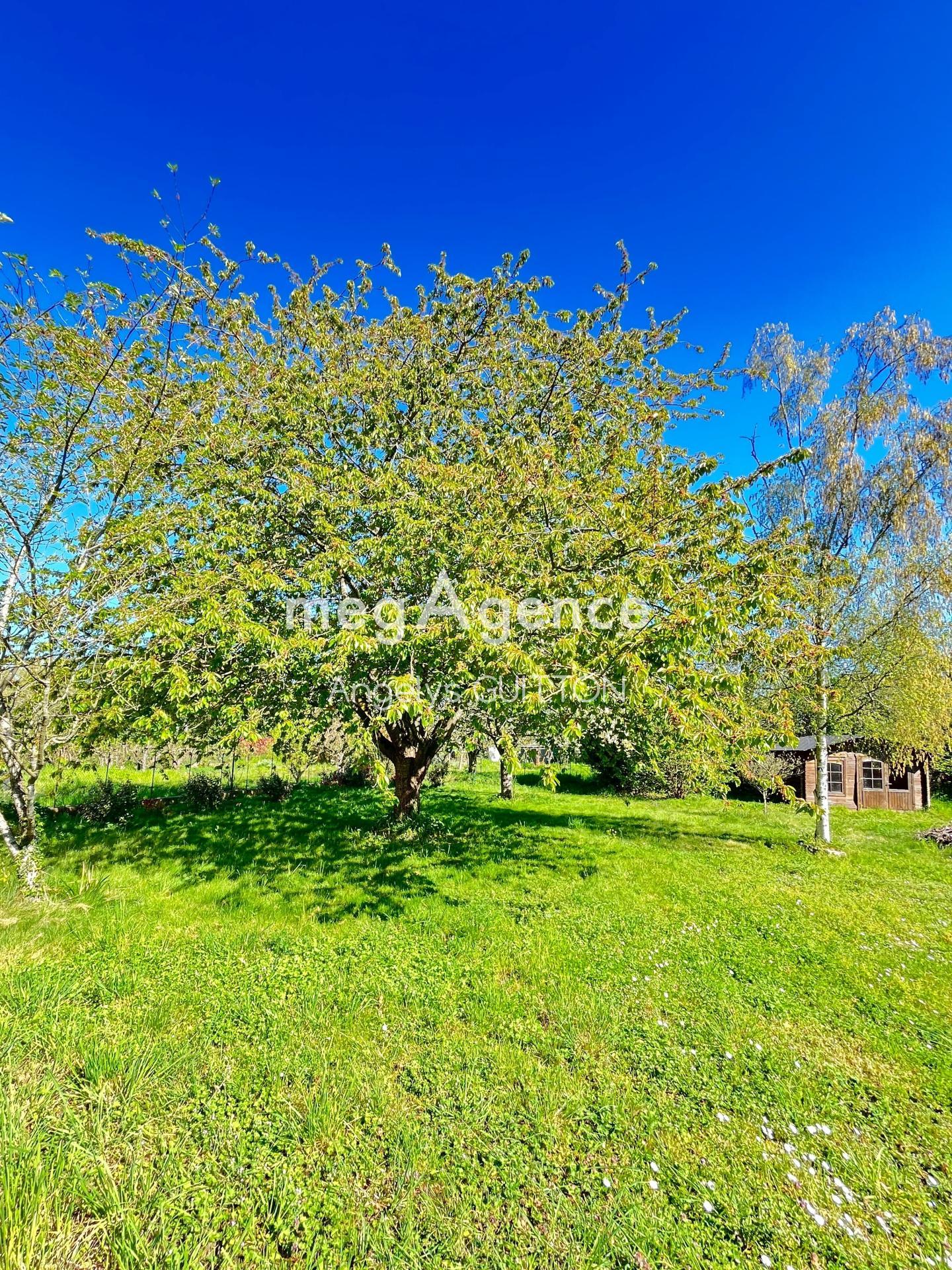 Miniature photo - 13 / 14