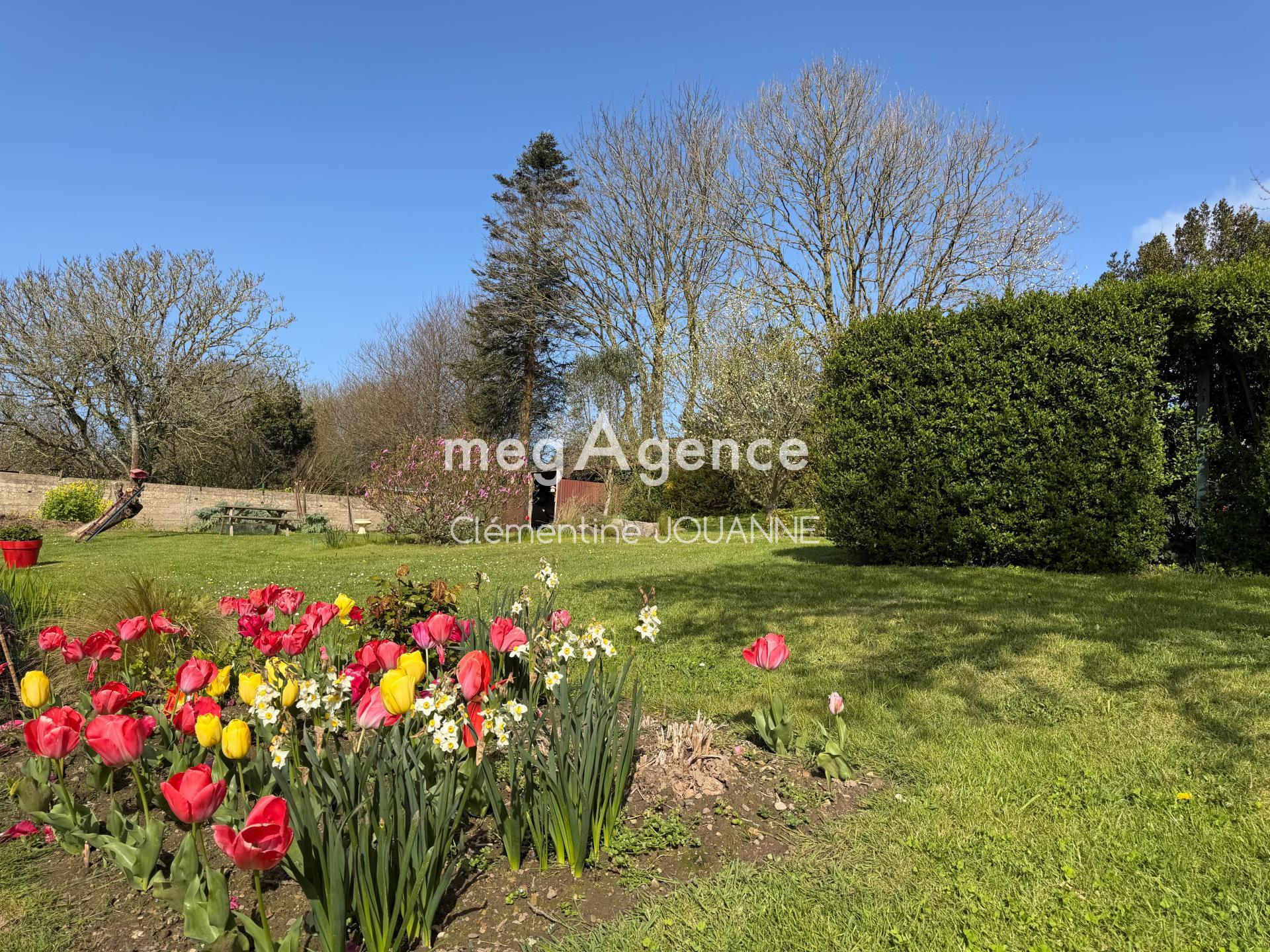 Miniature photo - 4 / 18