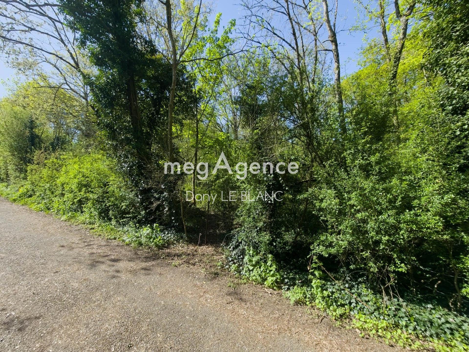 Miniature photo - 5 / 5