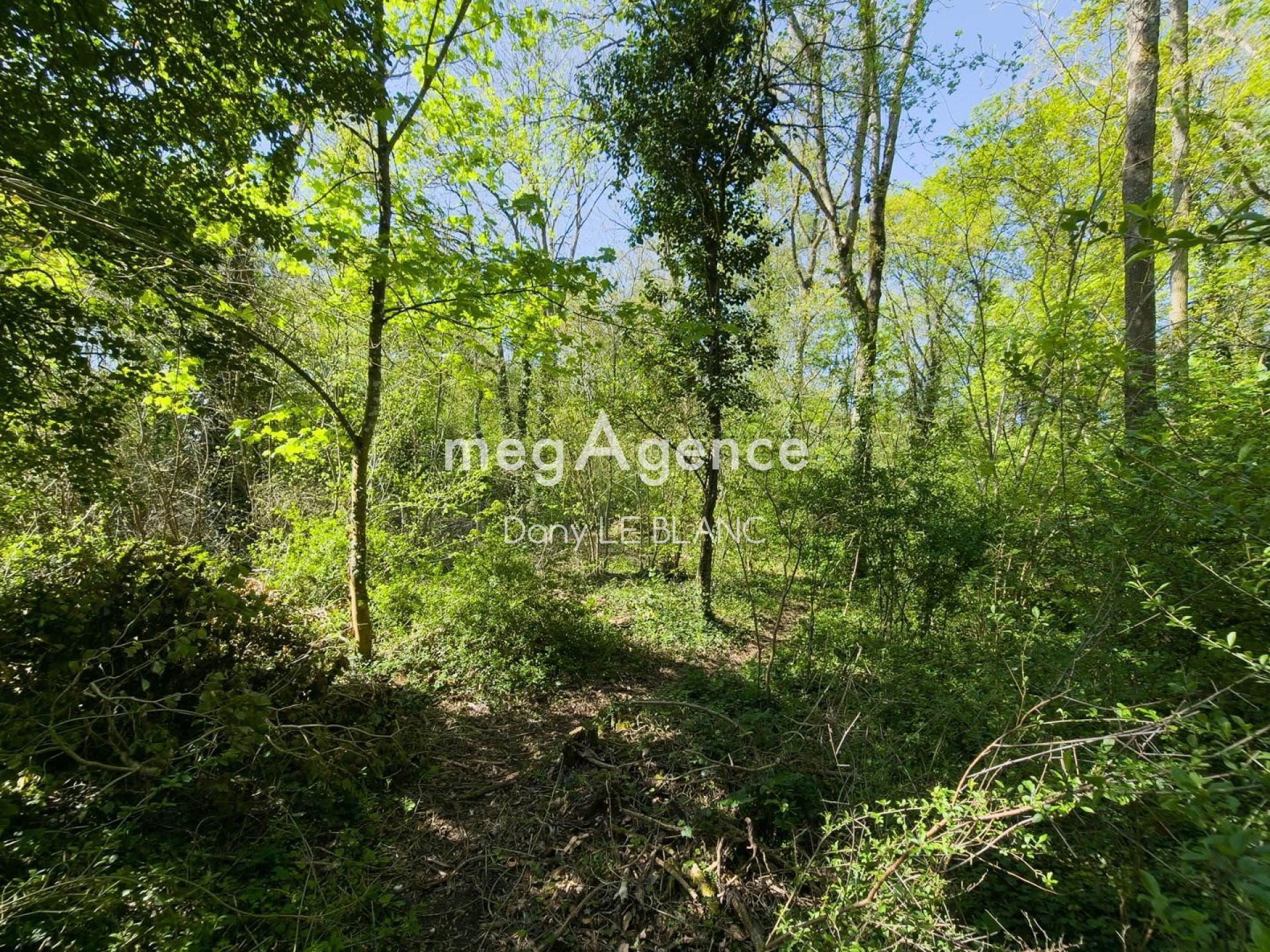 Miniature photo - 2 / 5