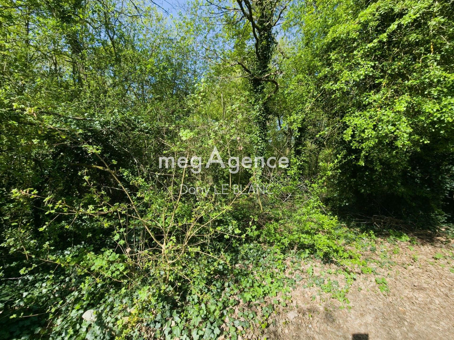 Miniature photo - 4 / 5