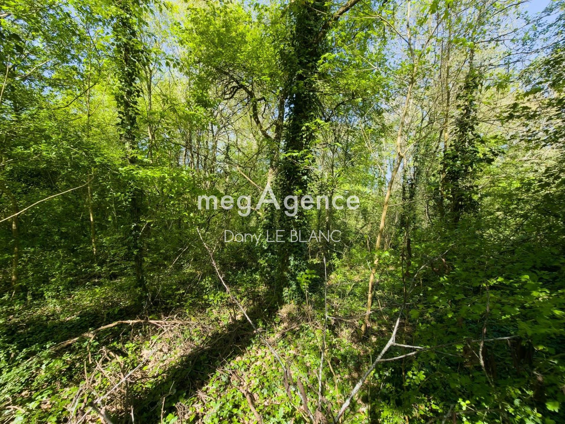 Miniature photo - 3 / 5