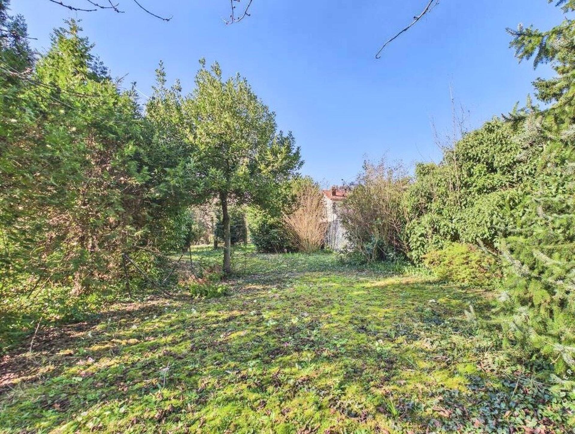 Miniature photo - 3 / 9