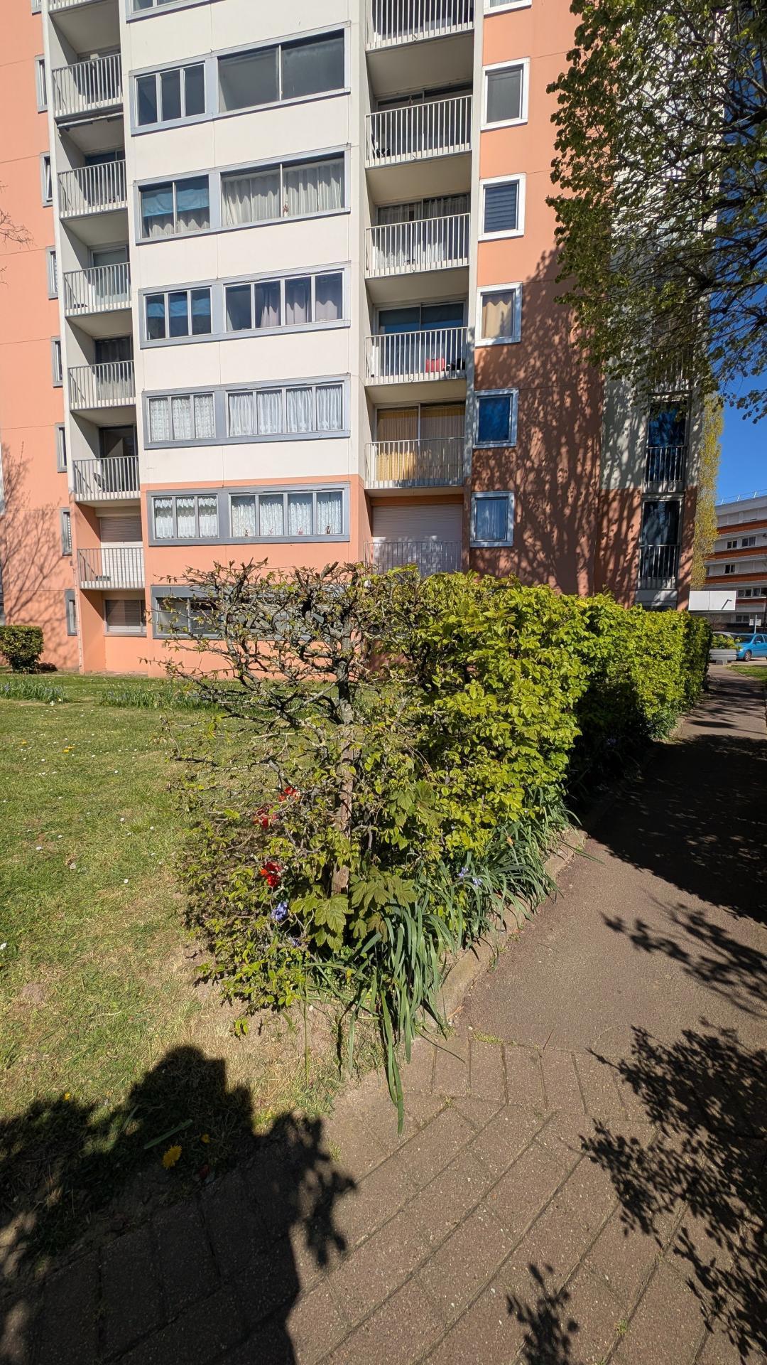 Miniature photo - 10 / 10