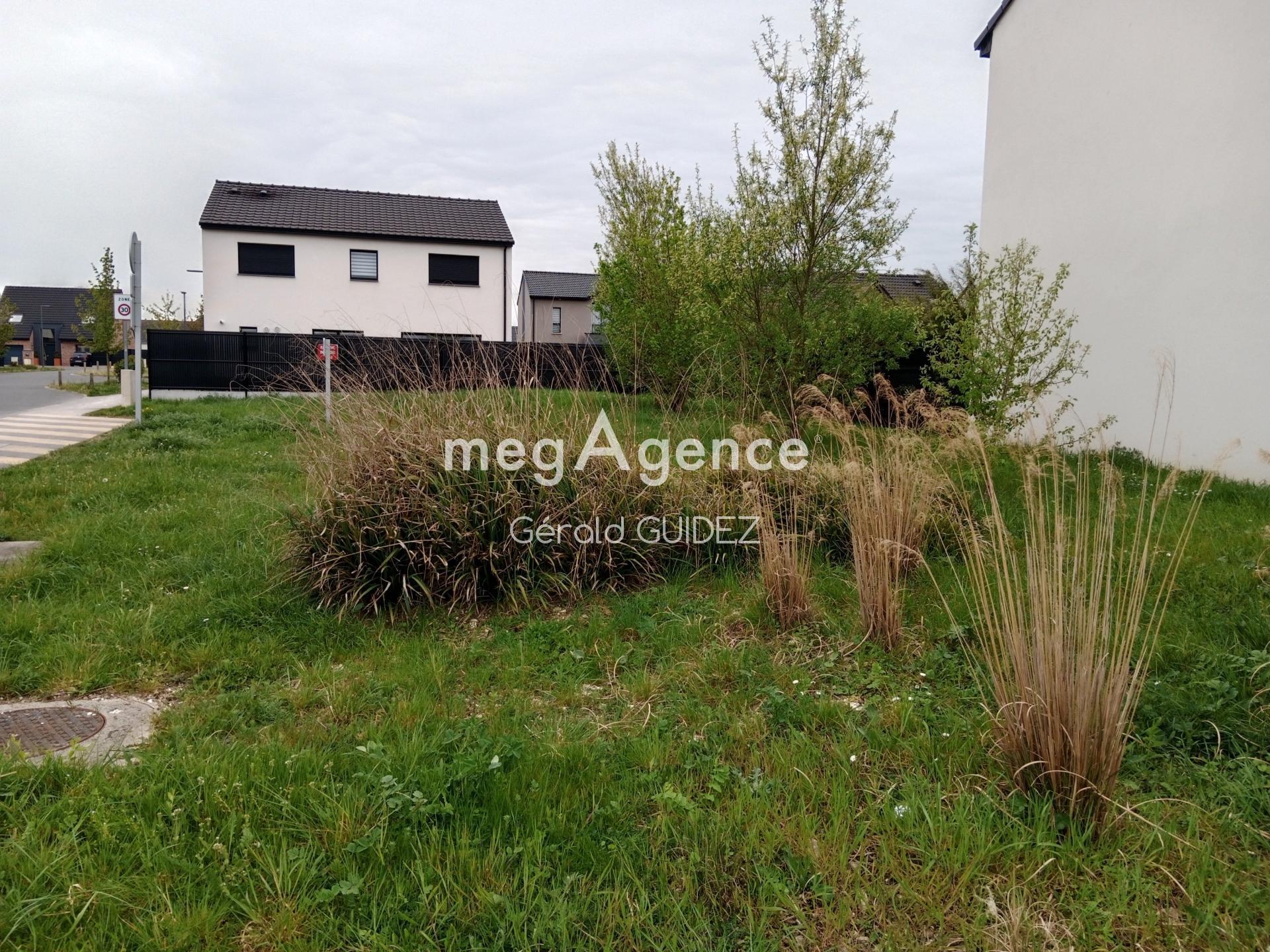 Miniature photo - 2 / 6