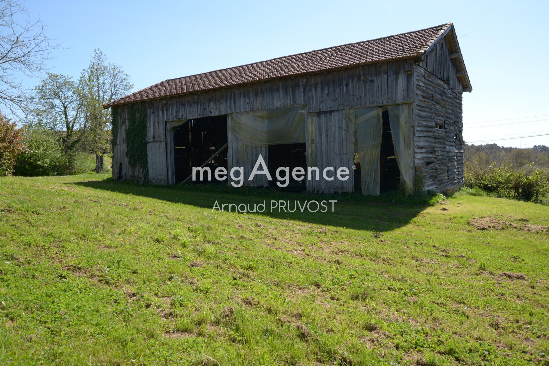 Miniature photo - 9 / 12