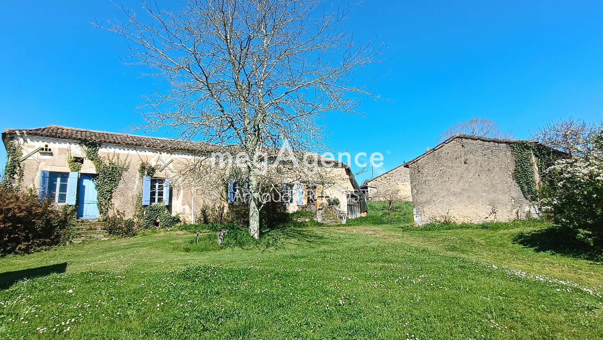 Miniature photo - 4 / 12