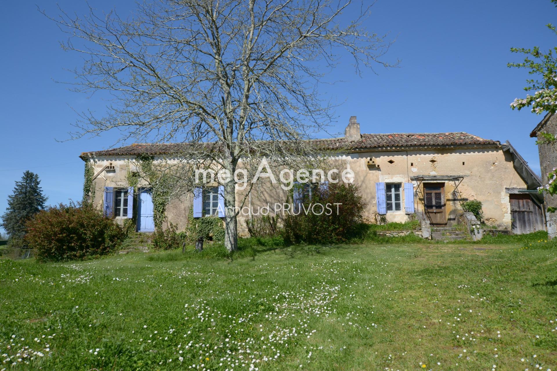 Miniature photo - 2 / 12