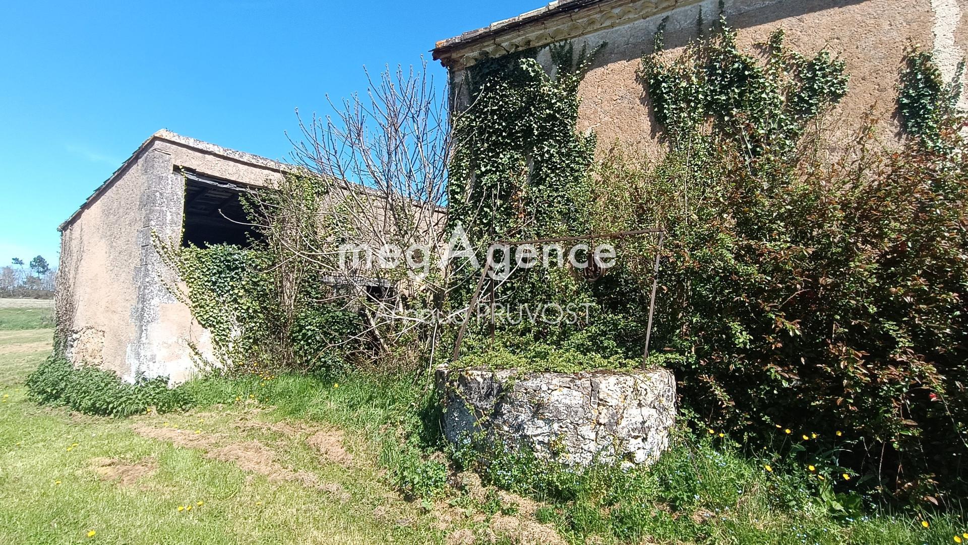 Miniature photo - 11 / 12