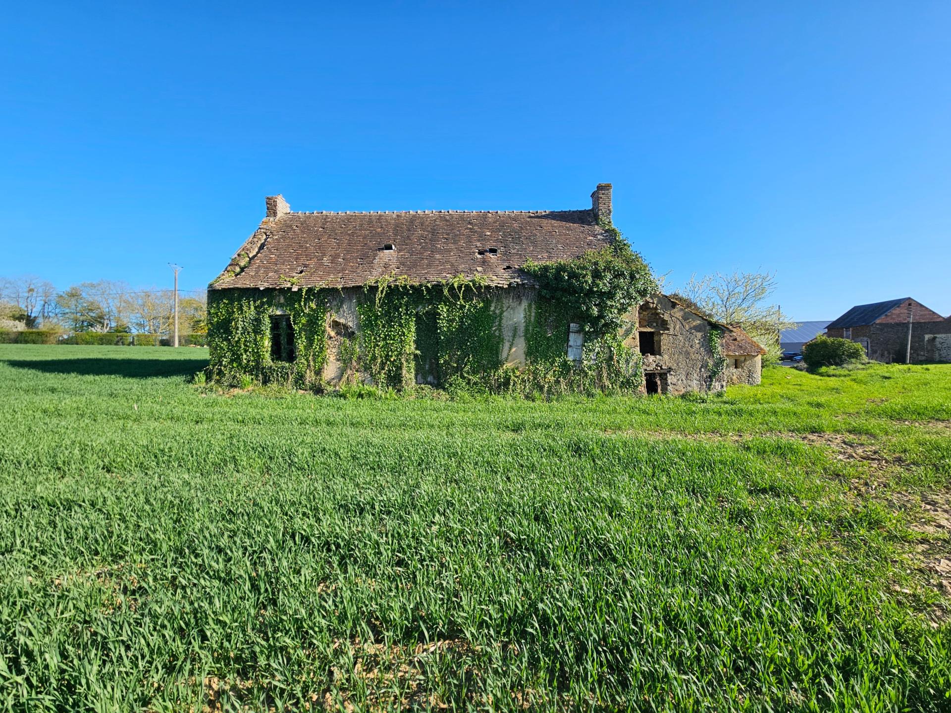 Miniature photo - 2 / 3