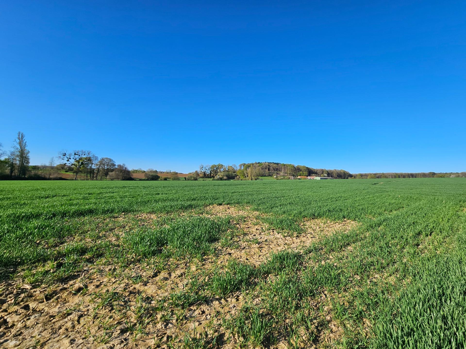 Miniature photo - 3 / 3