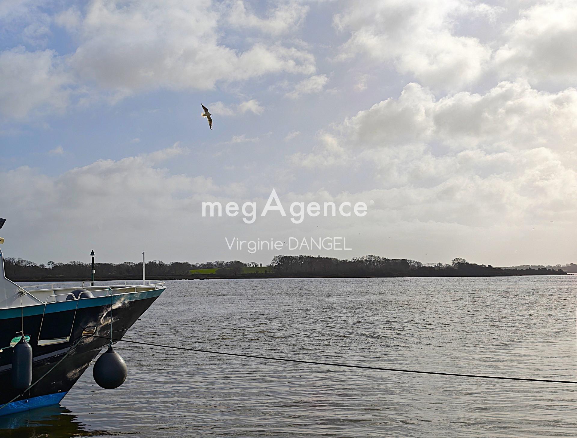 Miniature photo - 16 / 16