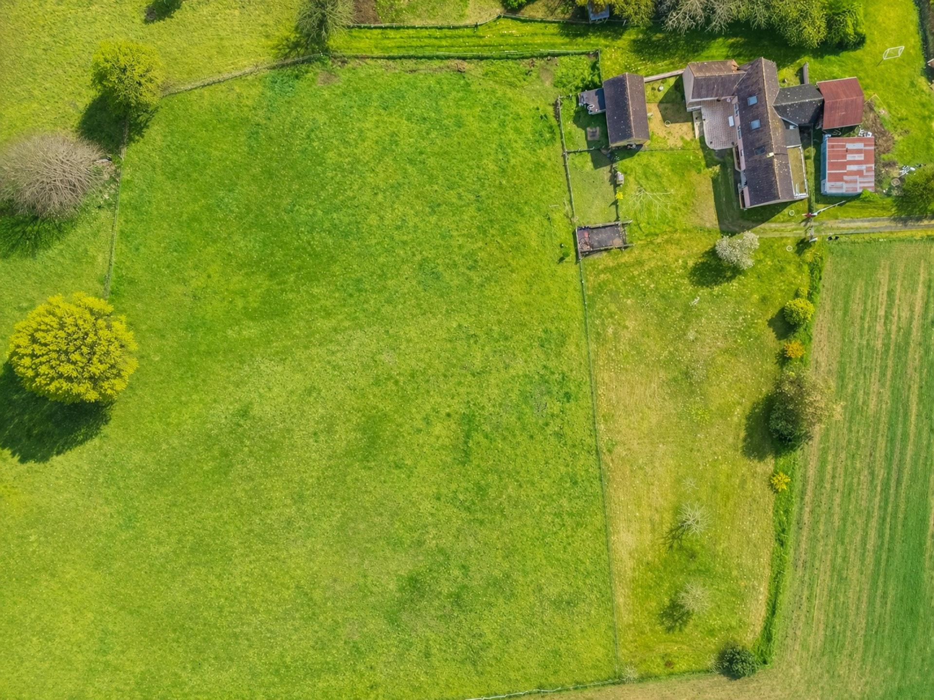 Miniature photo - 10 / 11