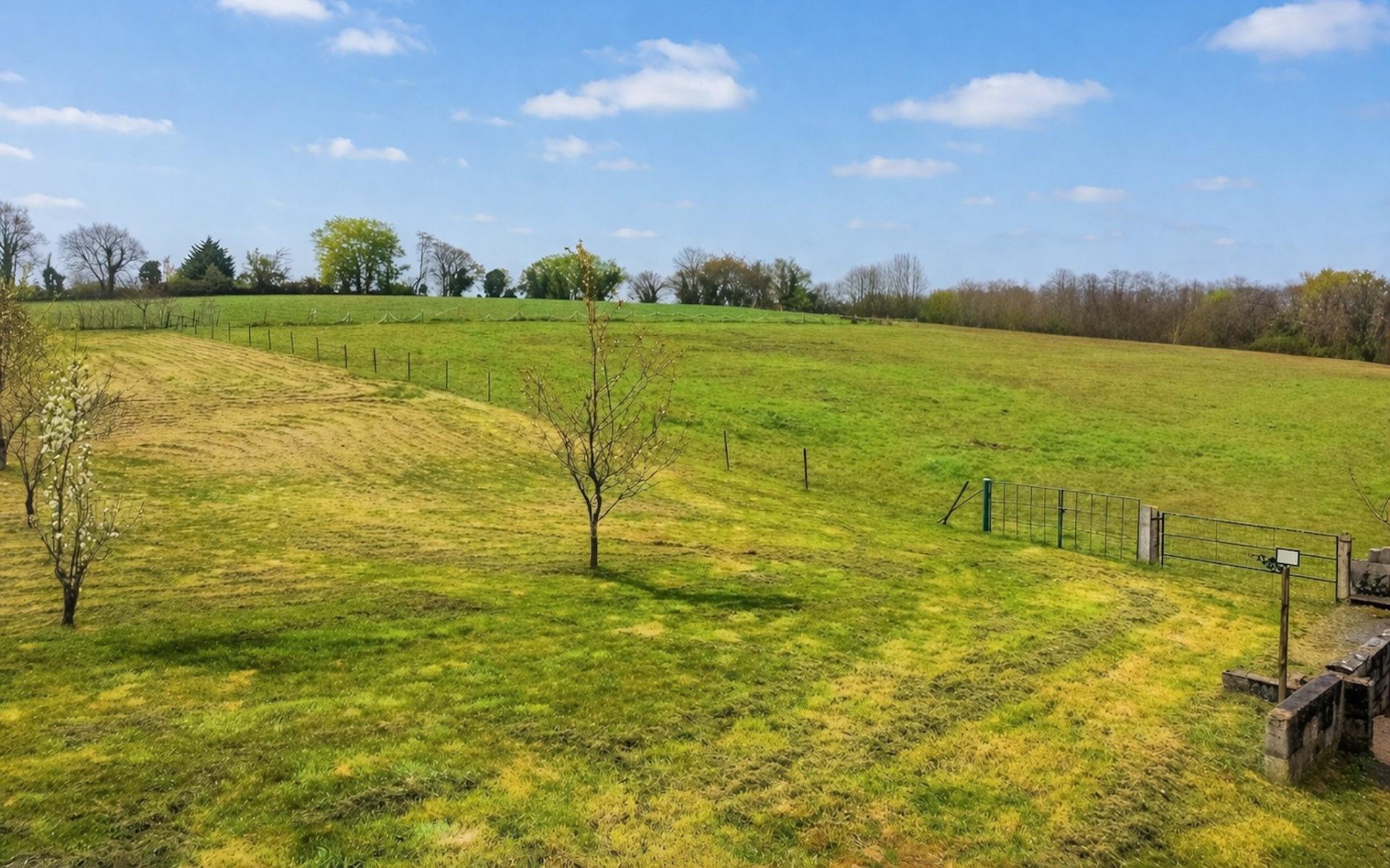 Miniature photo - 9 / 11