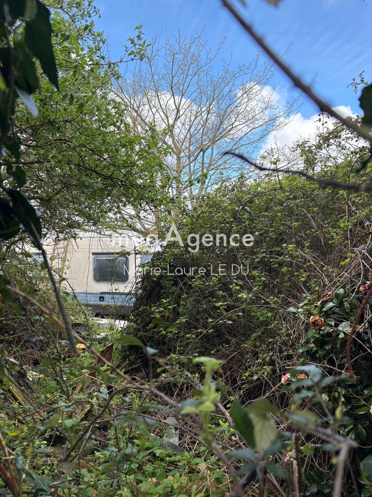 Miniature photo - 4 / 9