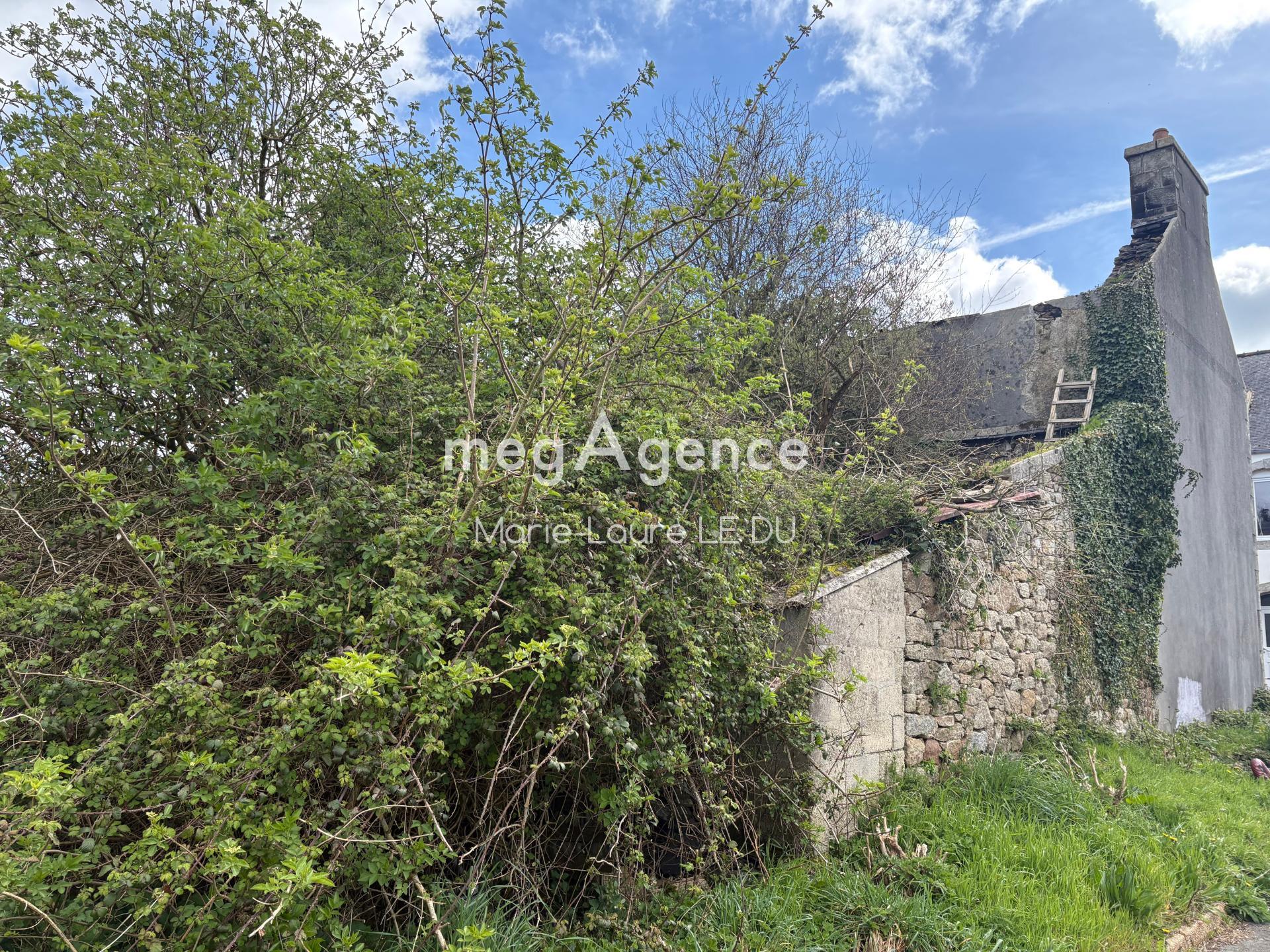 Miniature photo - 3 / 9