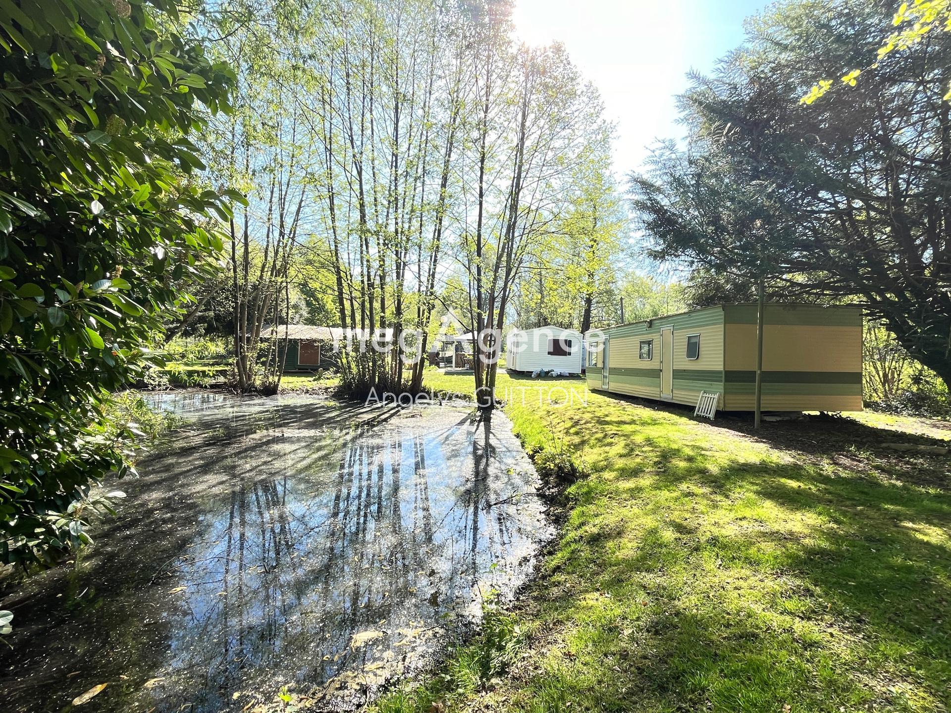 Miniature photo - 7 / 12