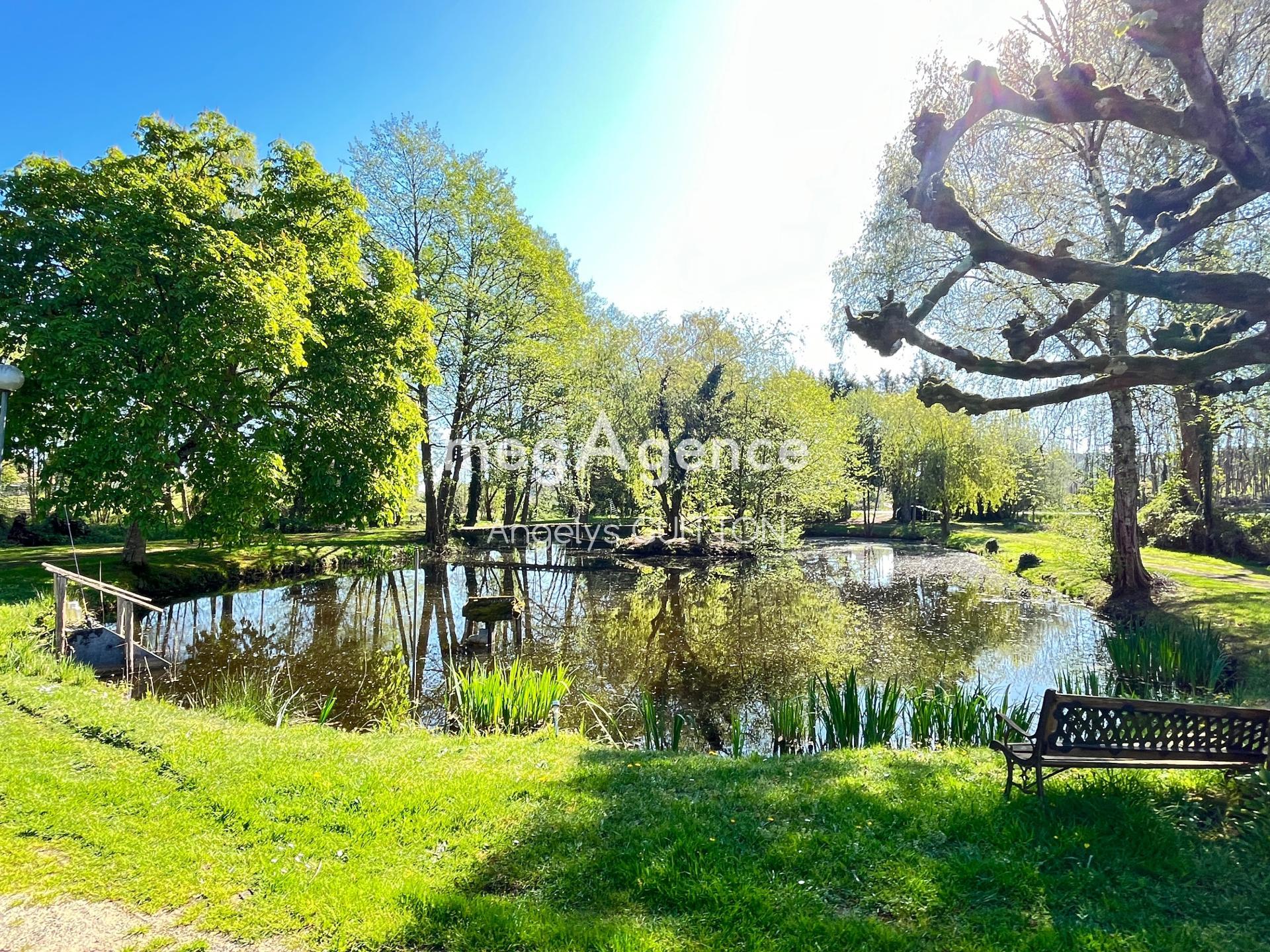 Miniature photo - 2 / 12