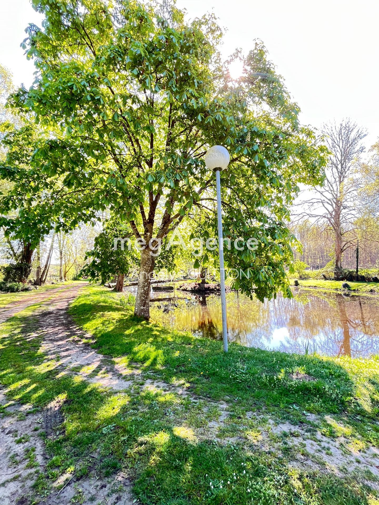 Miniature photo - 3 / 12