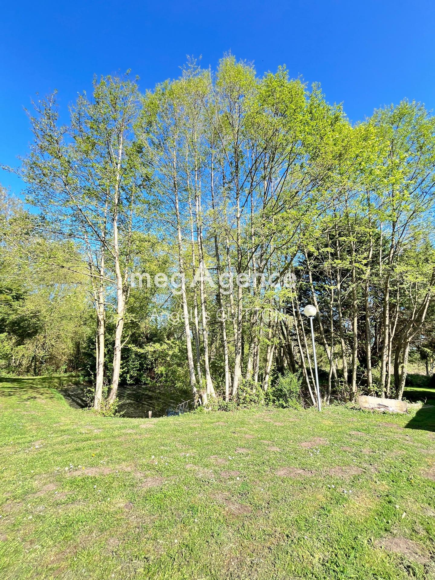 Miniature photo - 5 / 12