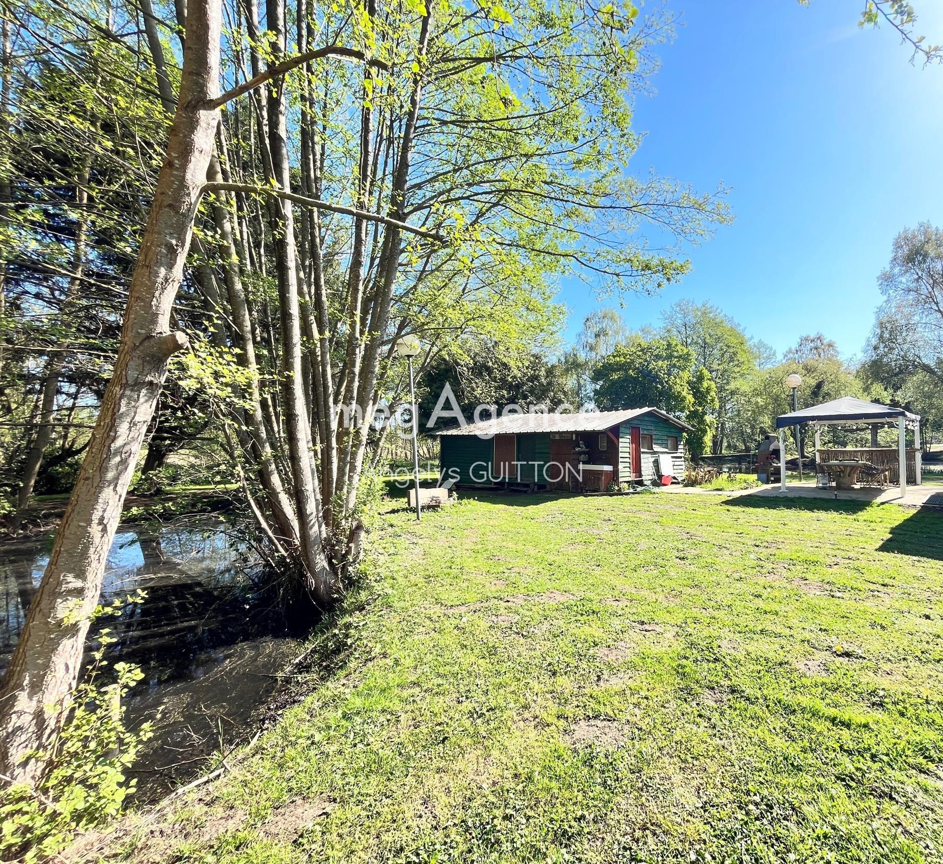 Miniature photo - 4 / 12