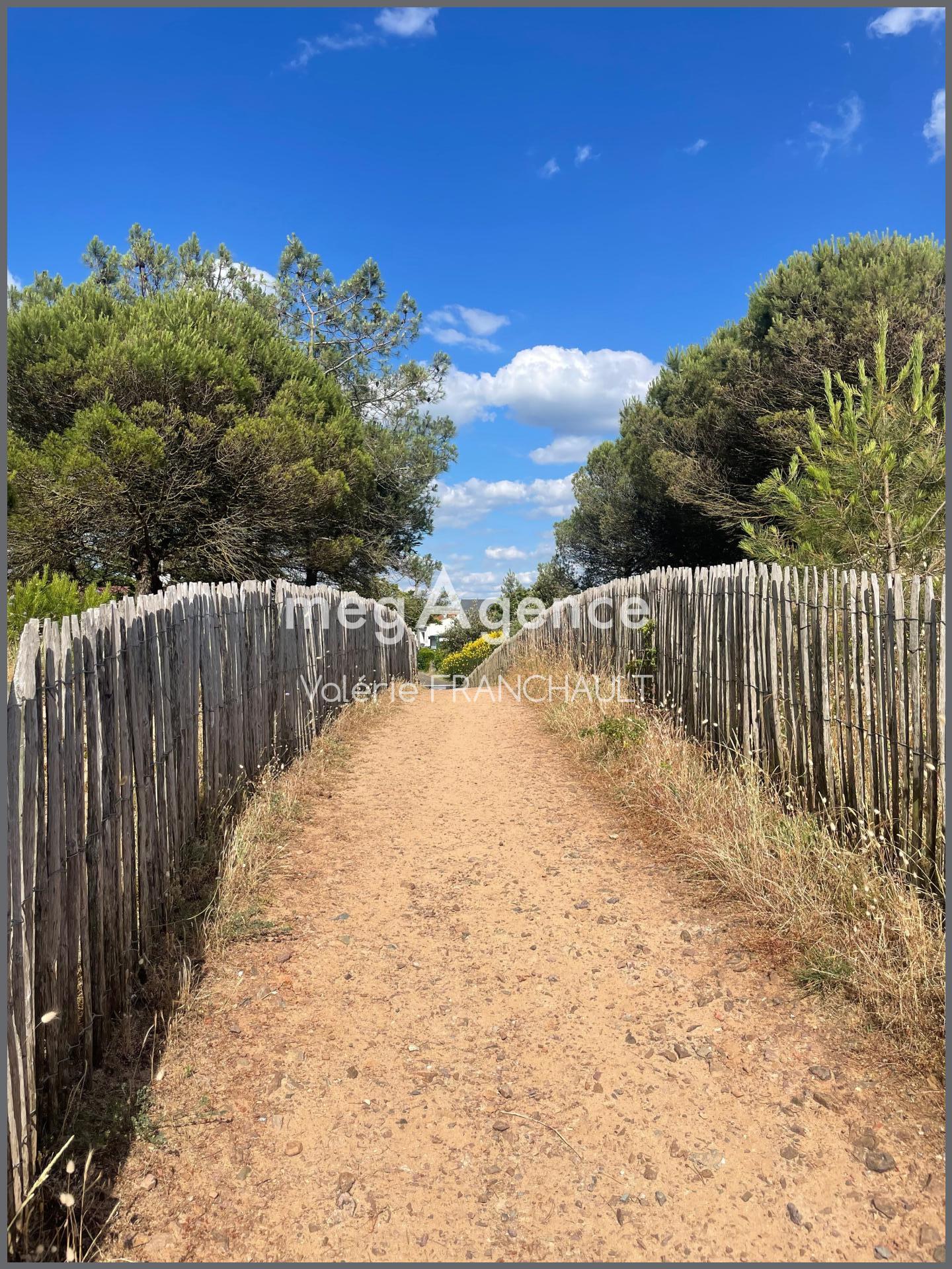 Miniature photo - 9 / 9