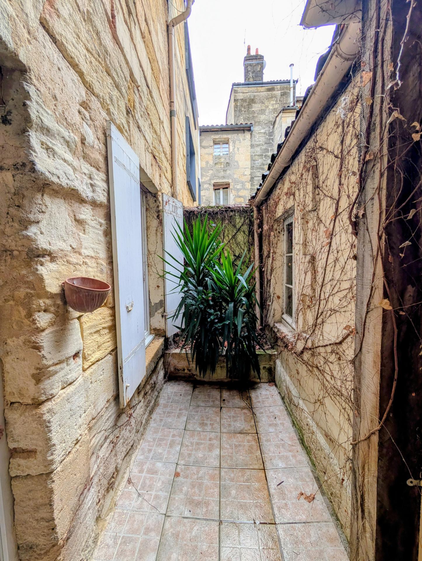 Miniature photo - 13 / 13