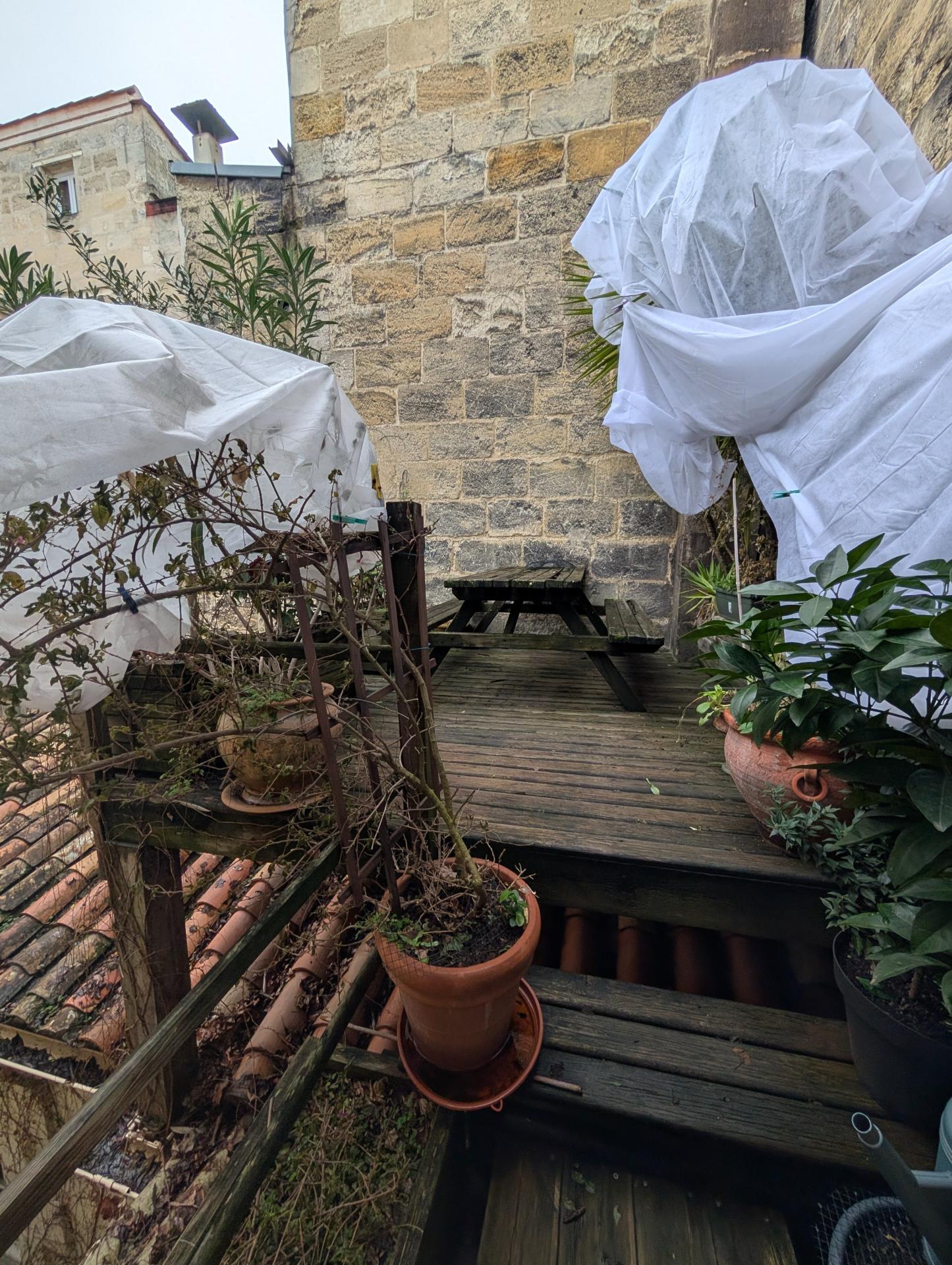 Miniature photo - 12 / 13