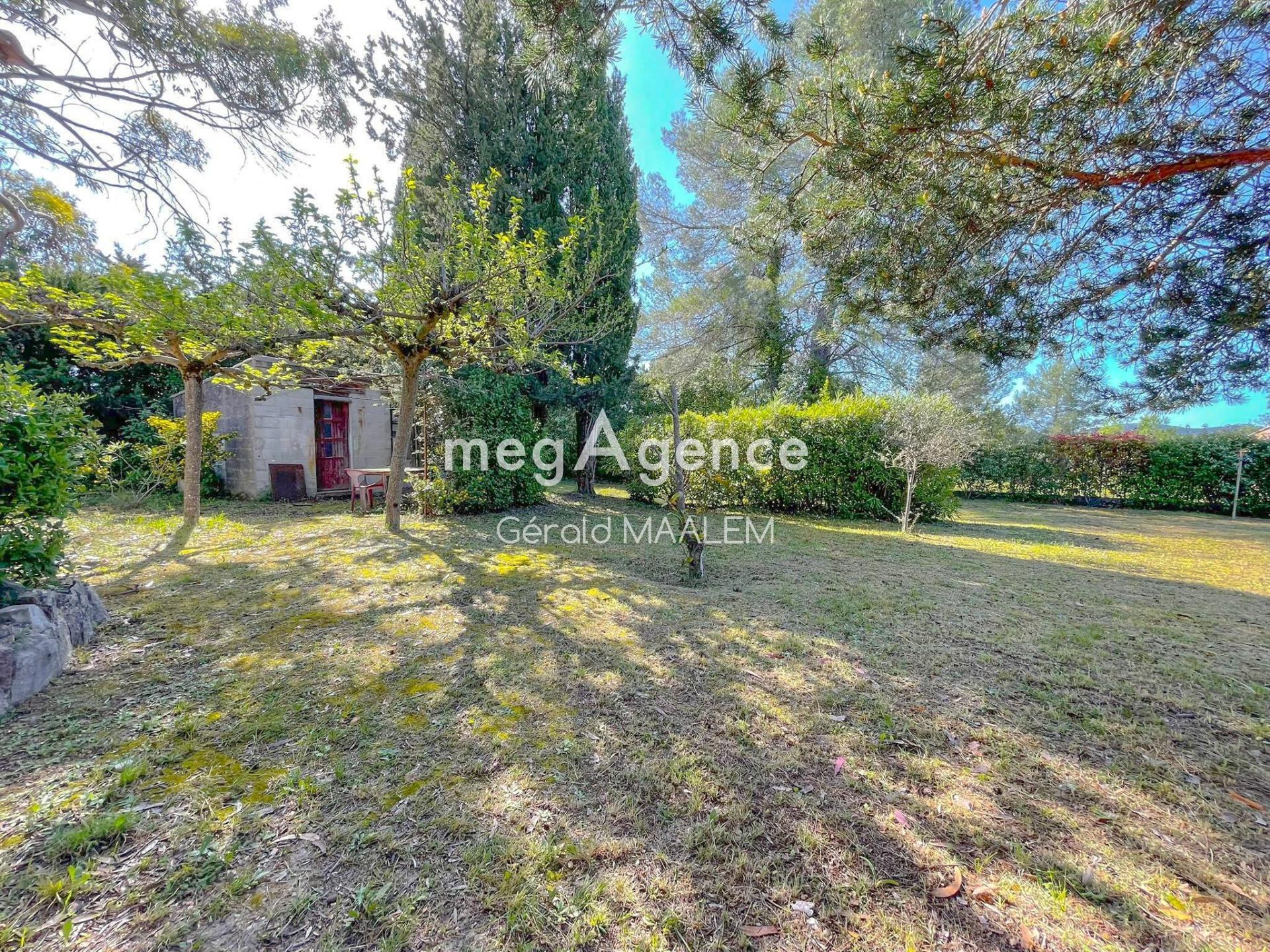 Miniature photo - 3 / 16