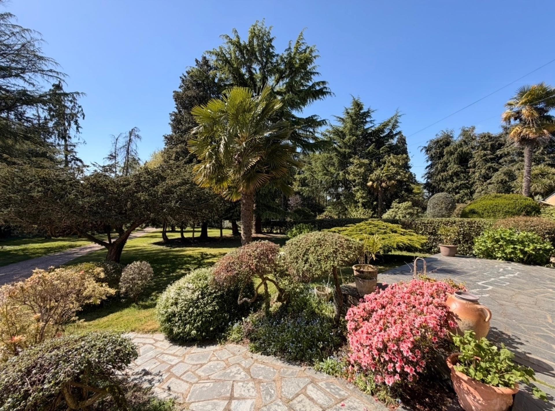 Miniature photo - 3 / 17