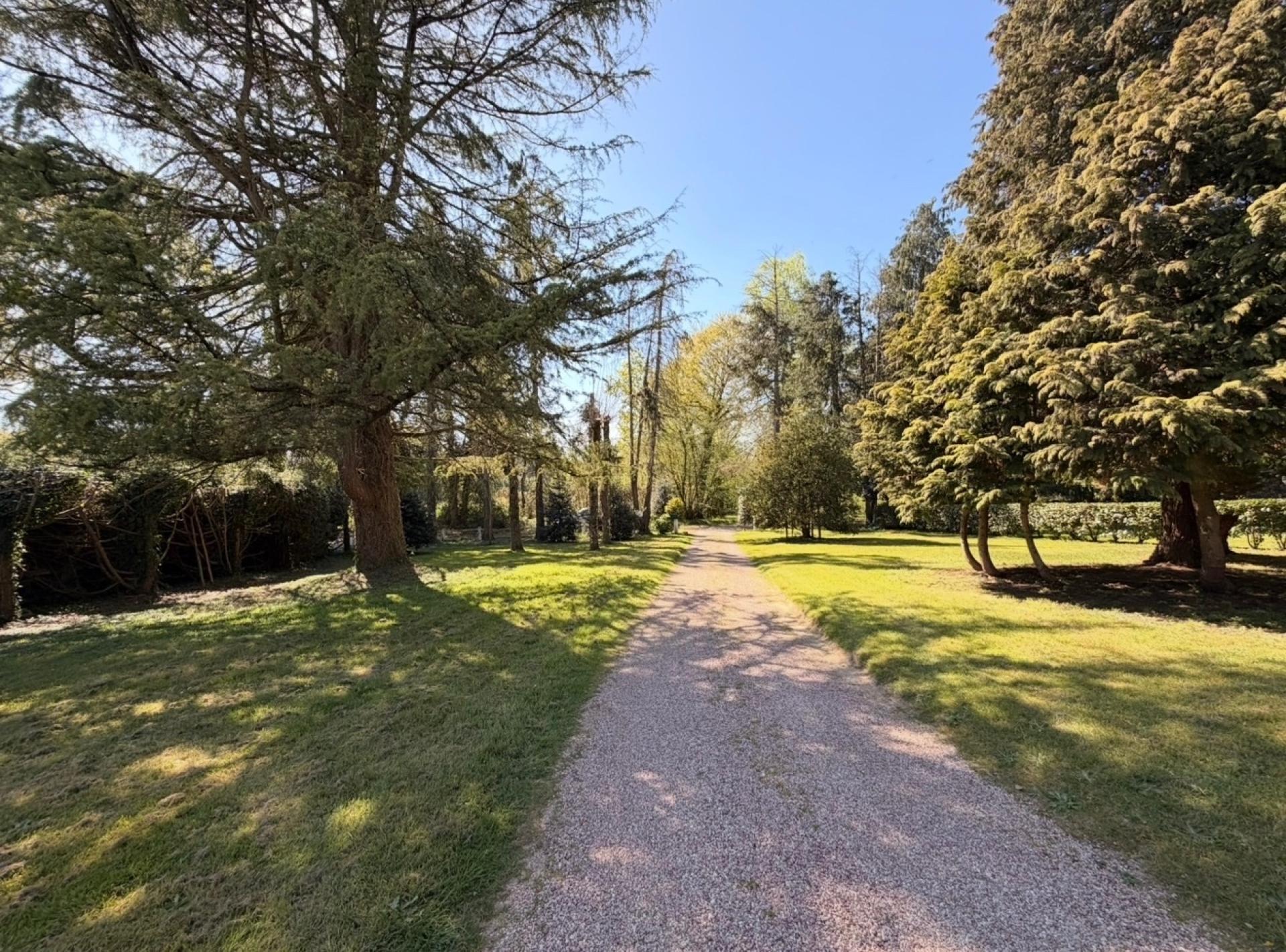 Miniature photo - 15 / 17