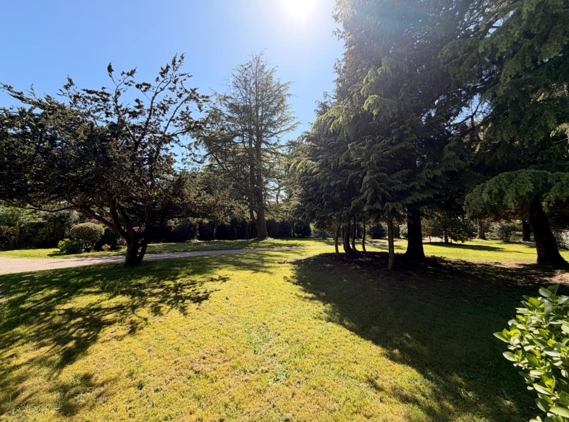 Miniature photo - 17 / 17