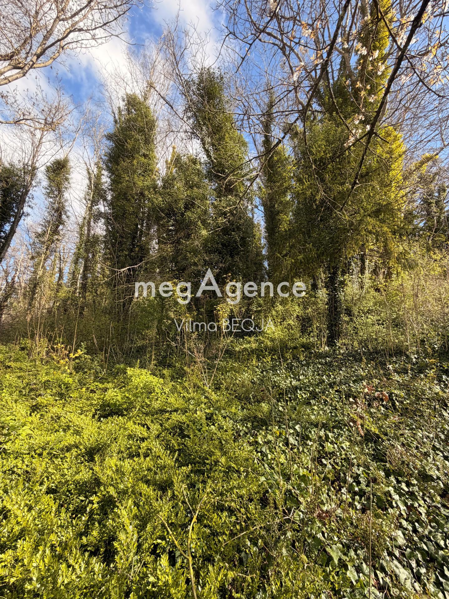 Miniature photo - 17 / 18